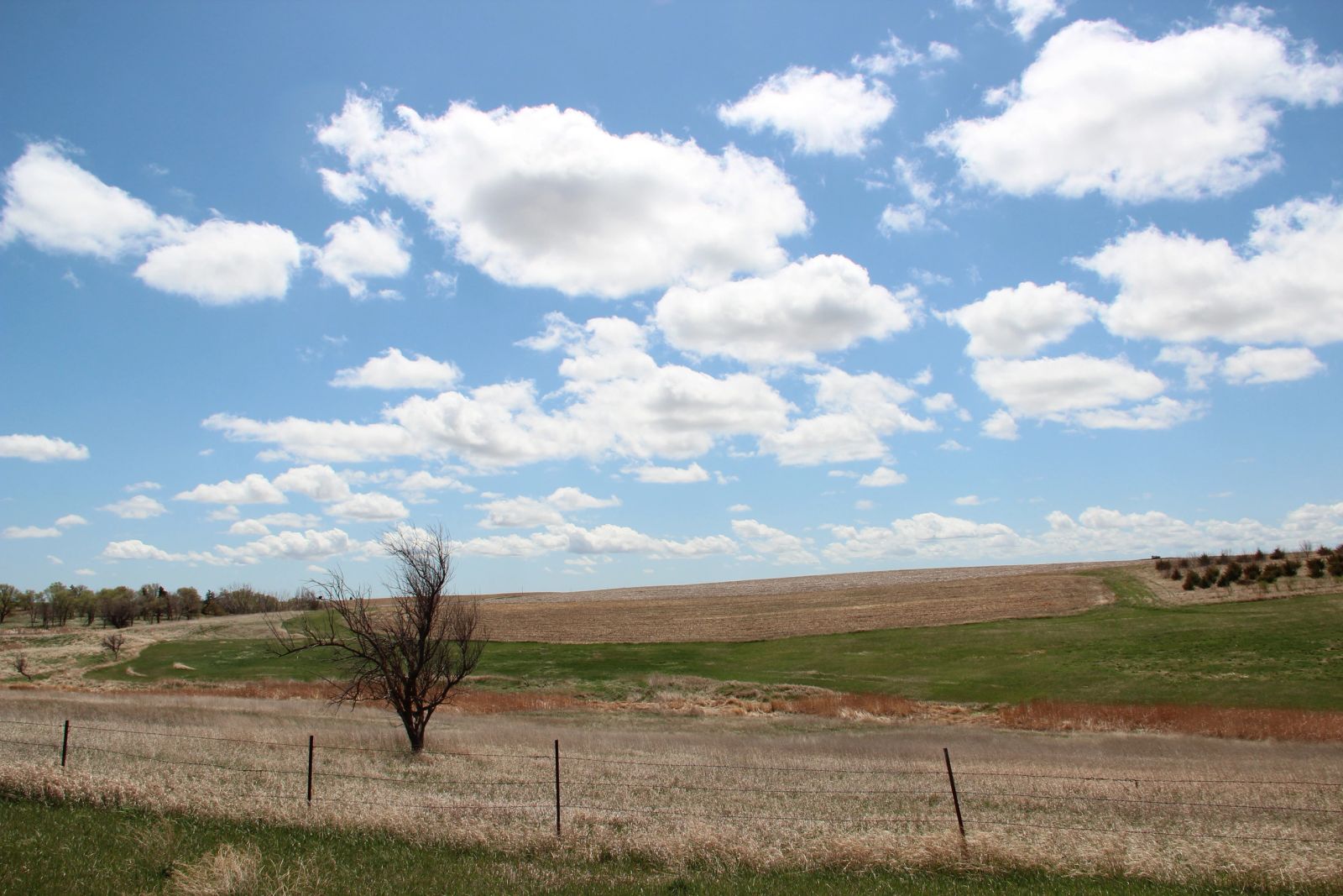 3 Tracts of Land — Tripp County, SD — Land Auction in Winner, SD thumbnail 32