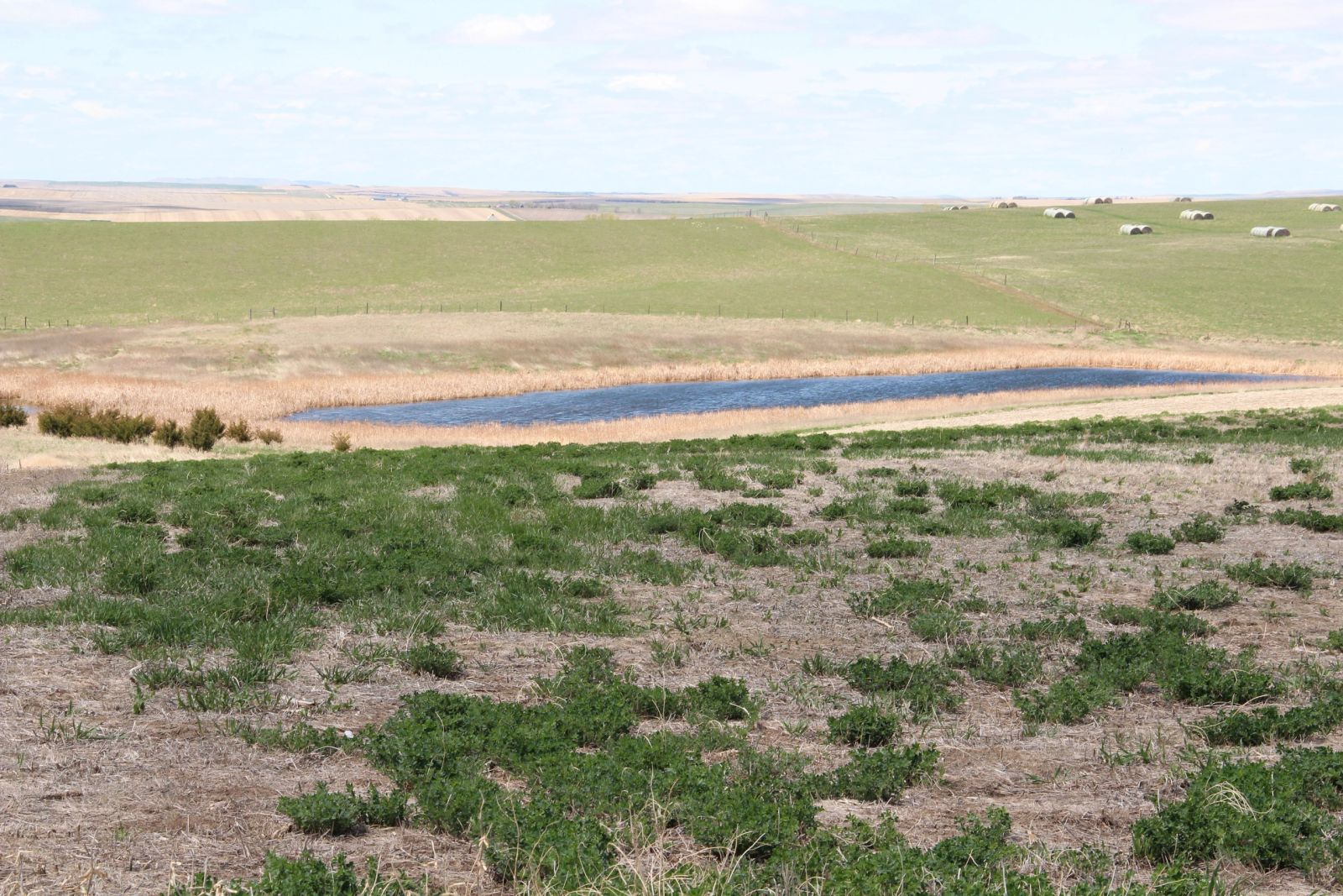 3 Tracts of Land — Tripp County, SD — Land Auction in Winner, SD thumbnail 36