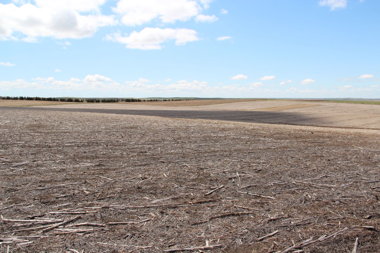 3 Tracts of Land — Tripp County, SD — Land Auction in Winner, SD thumbnail 34