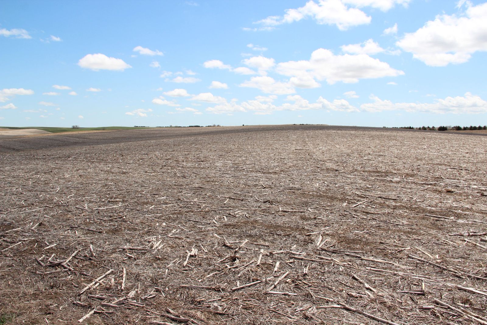 3 Tracts of Land — Tripp County, SD — Land Auction in Winner, SD thumbnail 35