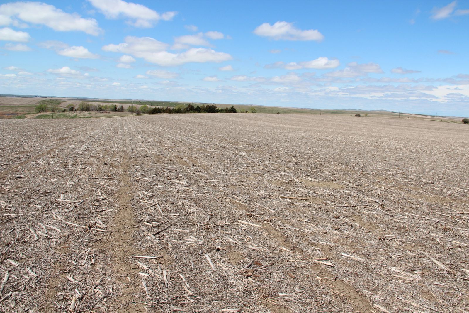 3 Tracts of Land — Tripp County, SD — Land Auction in Winner, SD thumbnail 48