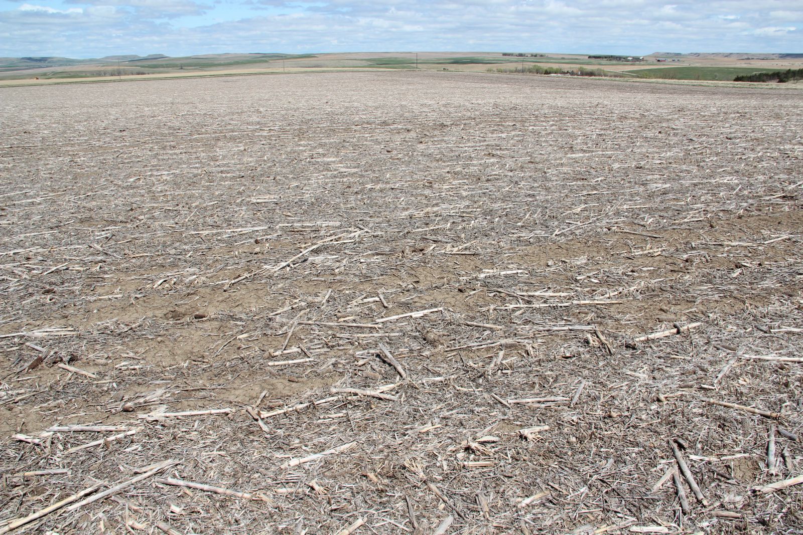 3 Tracts of Land — Tripp County, SD — Land Auction in Winner, SD thumbnail 51