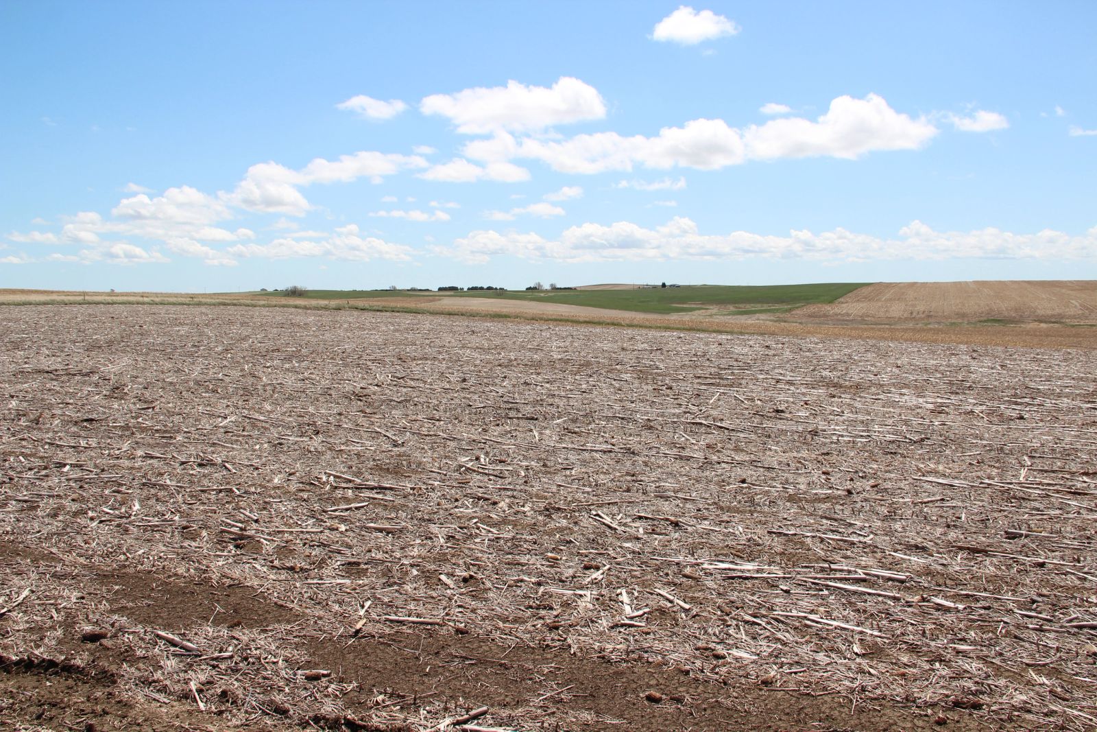 3 Tracts of Land — Tripp County, SD — Land Auction in Winner, SD thumbnail 52