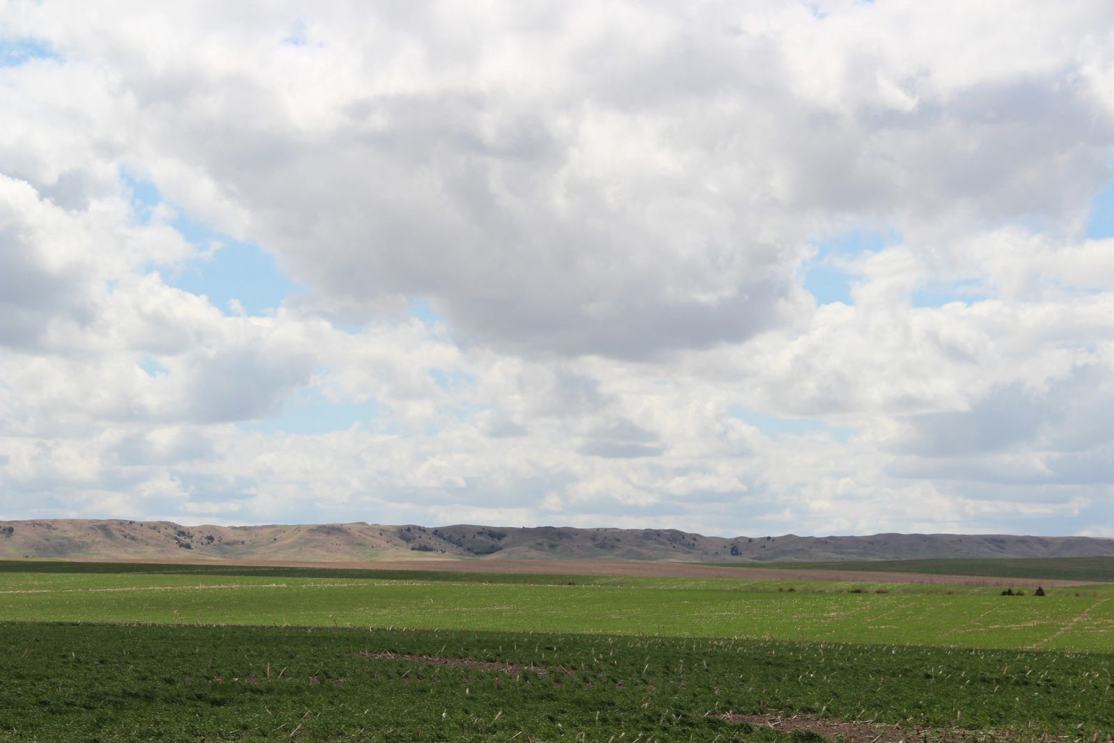 3 Tracts of Land — Tripp County, SD — Land Auction in Winner, SD thumbnail 4