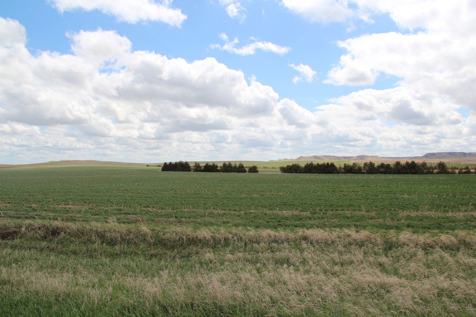 3 Tracts of Land — Tripp County, SD — Land Auction in Winner, SD thumbnail 14