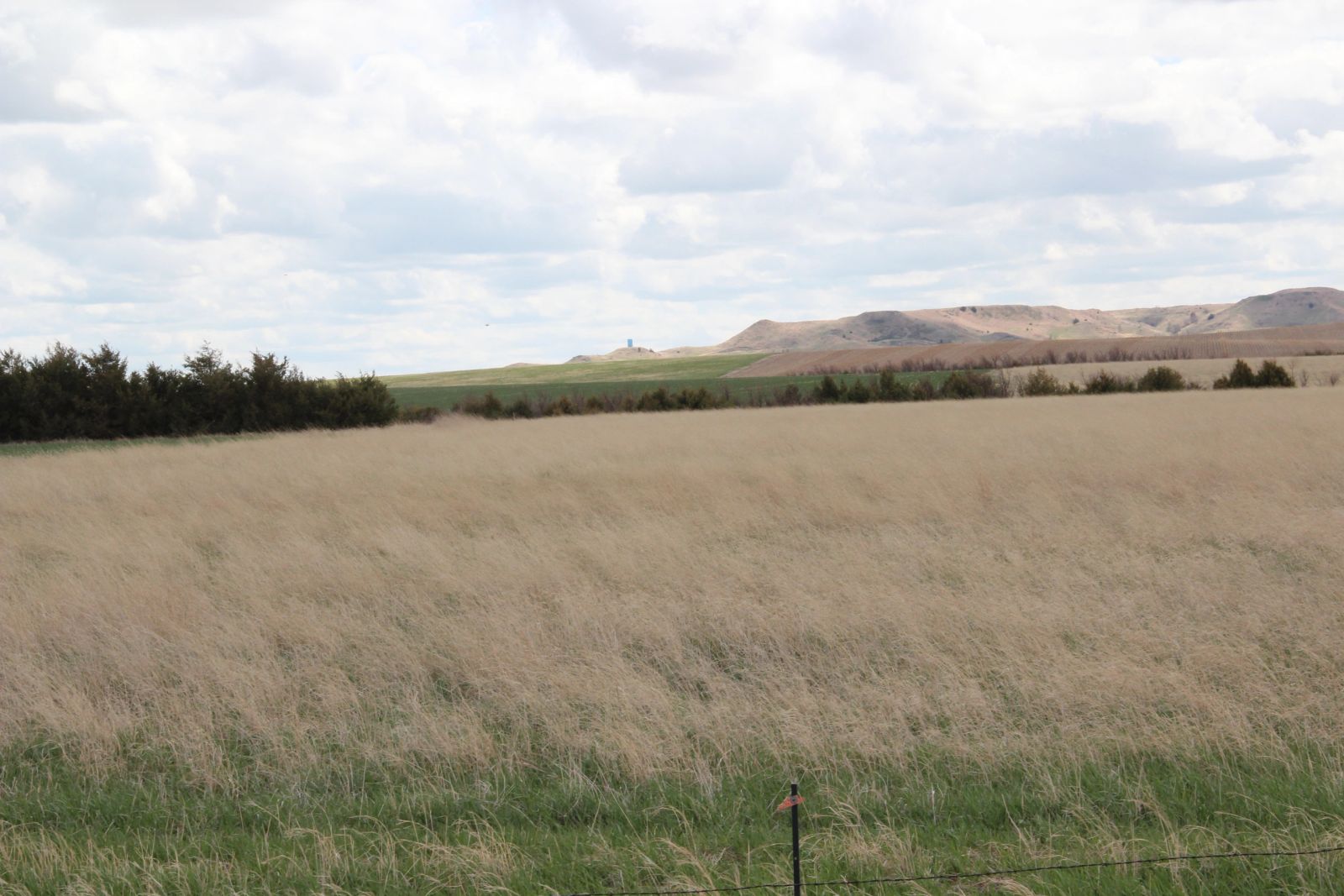 3 Tracts of Land — Tripp County, SD — Land Auction in Winner, SD thumbnail 11
