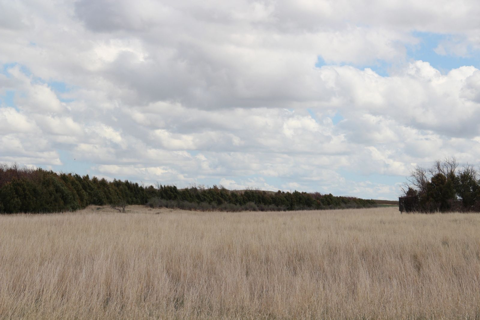 3 Tracts of Land — Tripp County, SD — Land Auction in Winner, SD thumbnail 15