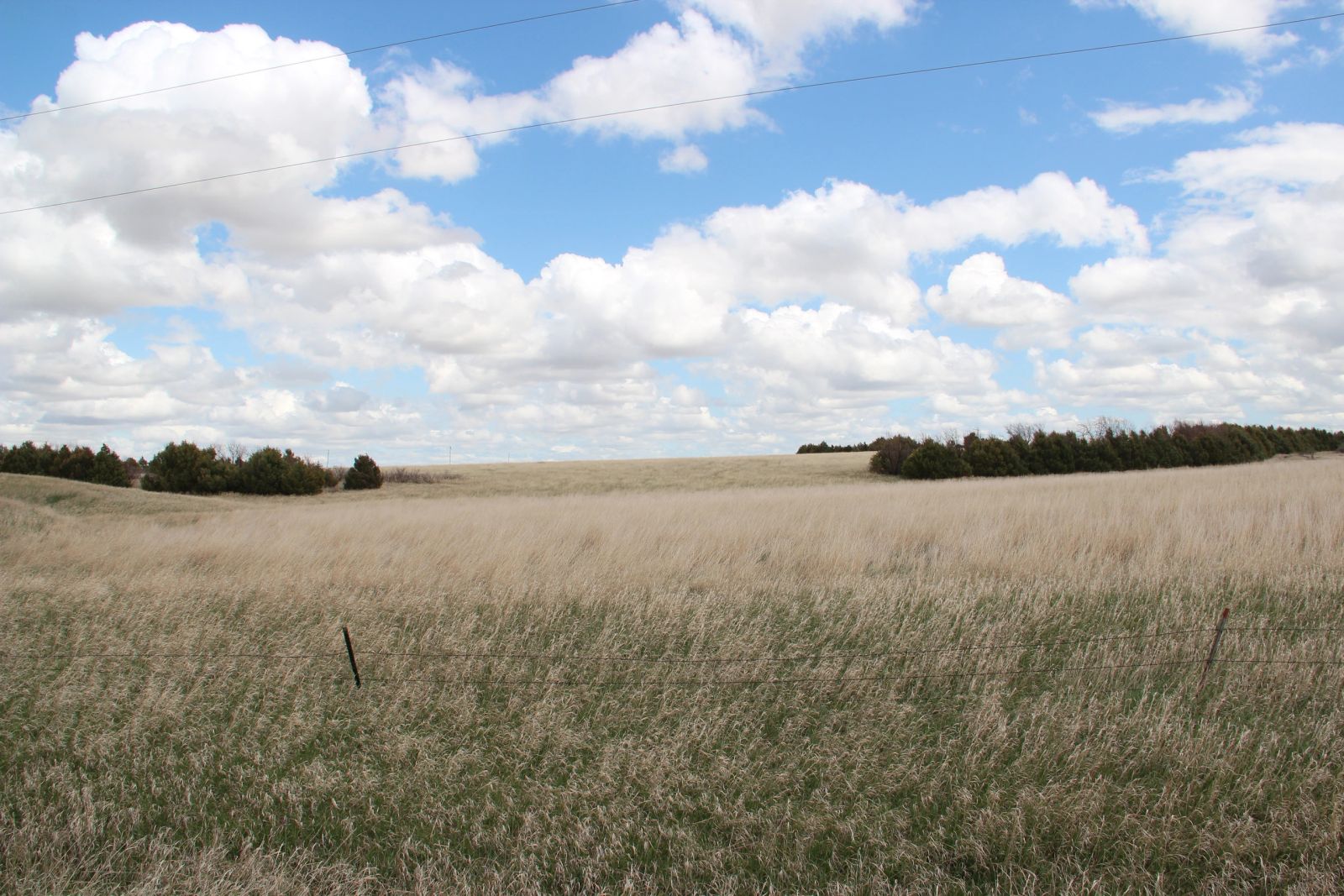 3 Tracts of Land — Tripp County, SD — Land Auction in Winner, SD thumbnail 16
