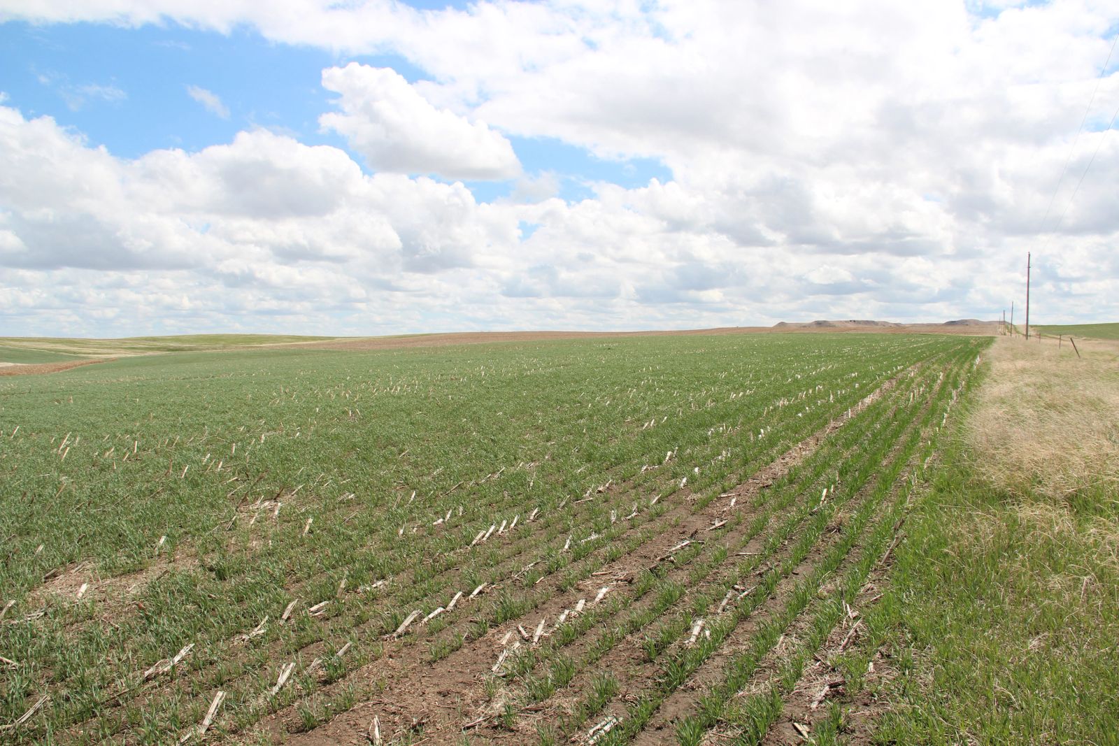 3 Tracts of Land — Tripp County, SD — Land Auction in Winner, SD thumbnail 9