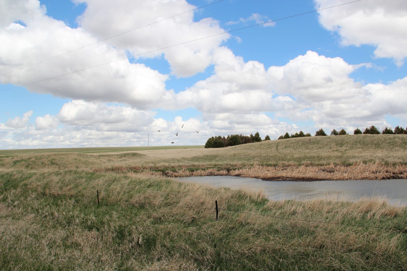 3 Tracts of Land — Tripp County, SD — Land Auction in Winner, SD thumbnail 6