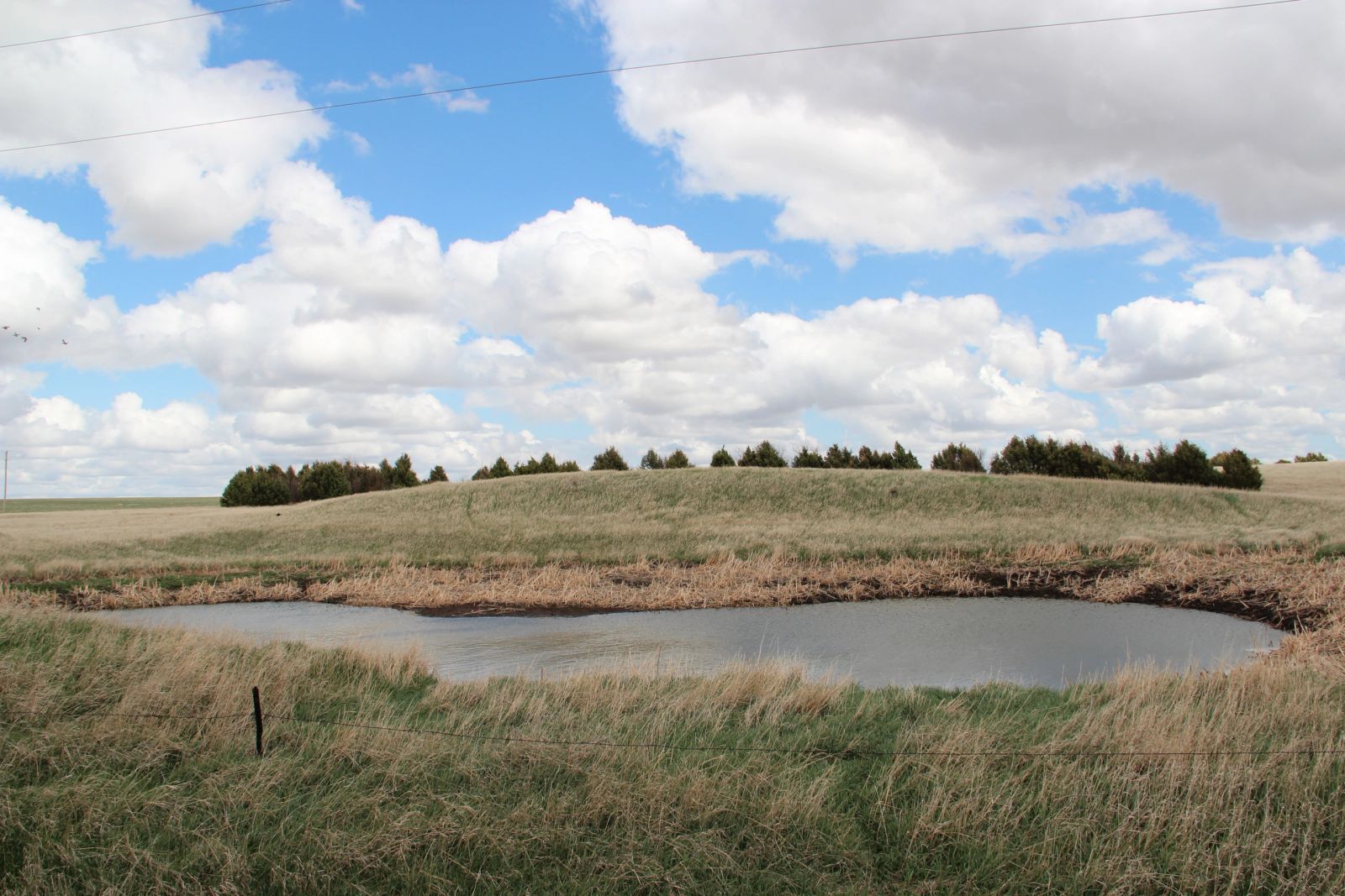3 Tracts of Land — Tripp County, SD — Land Auction in Winner, SD thumbnail 5