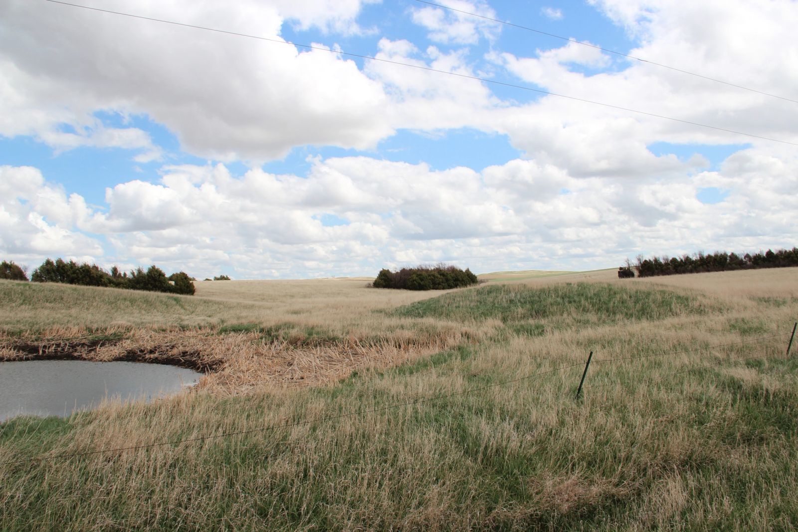 3 Tracts of Land — Tripp County, SD — Land Auction in Winner, SD thumbnail 7