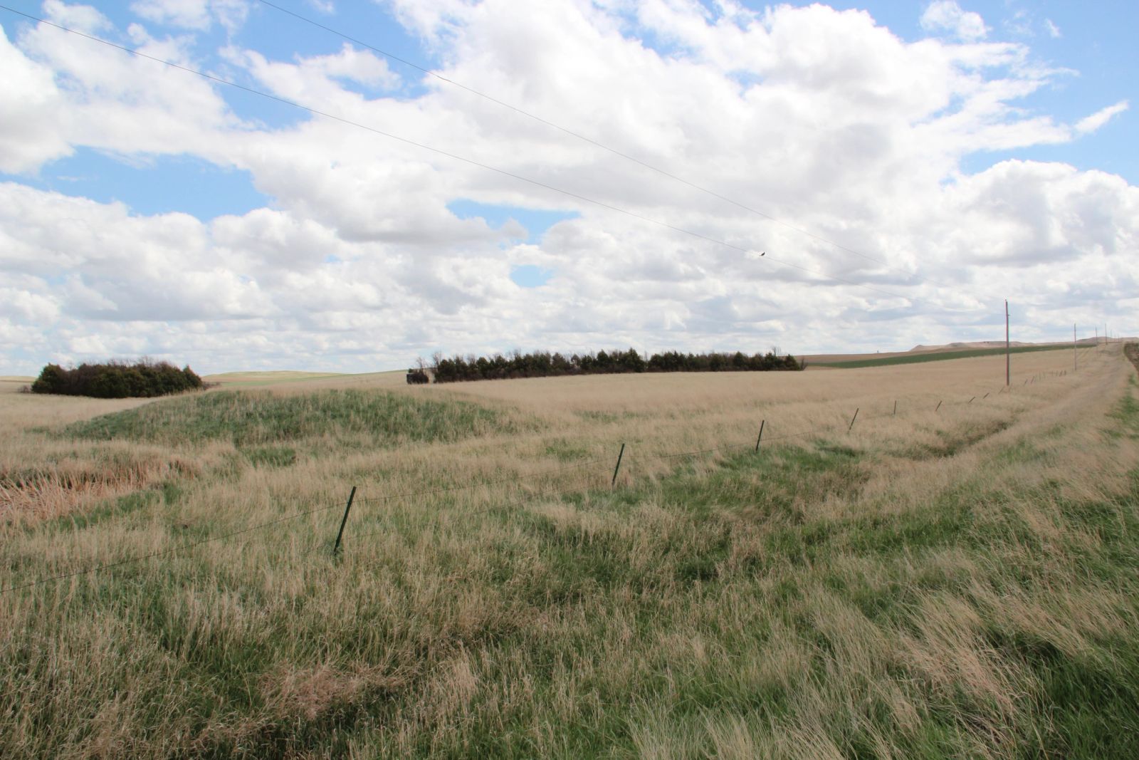 3 Tracts of Land — Tripp County, SD — Land Auction in Winner, SD thumbnail 12