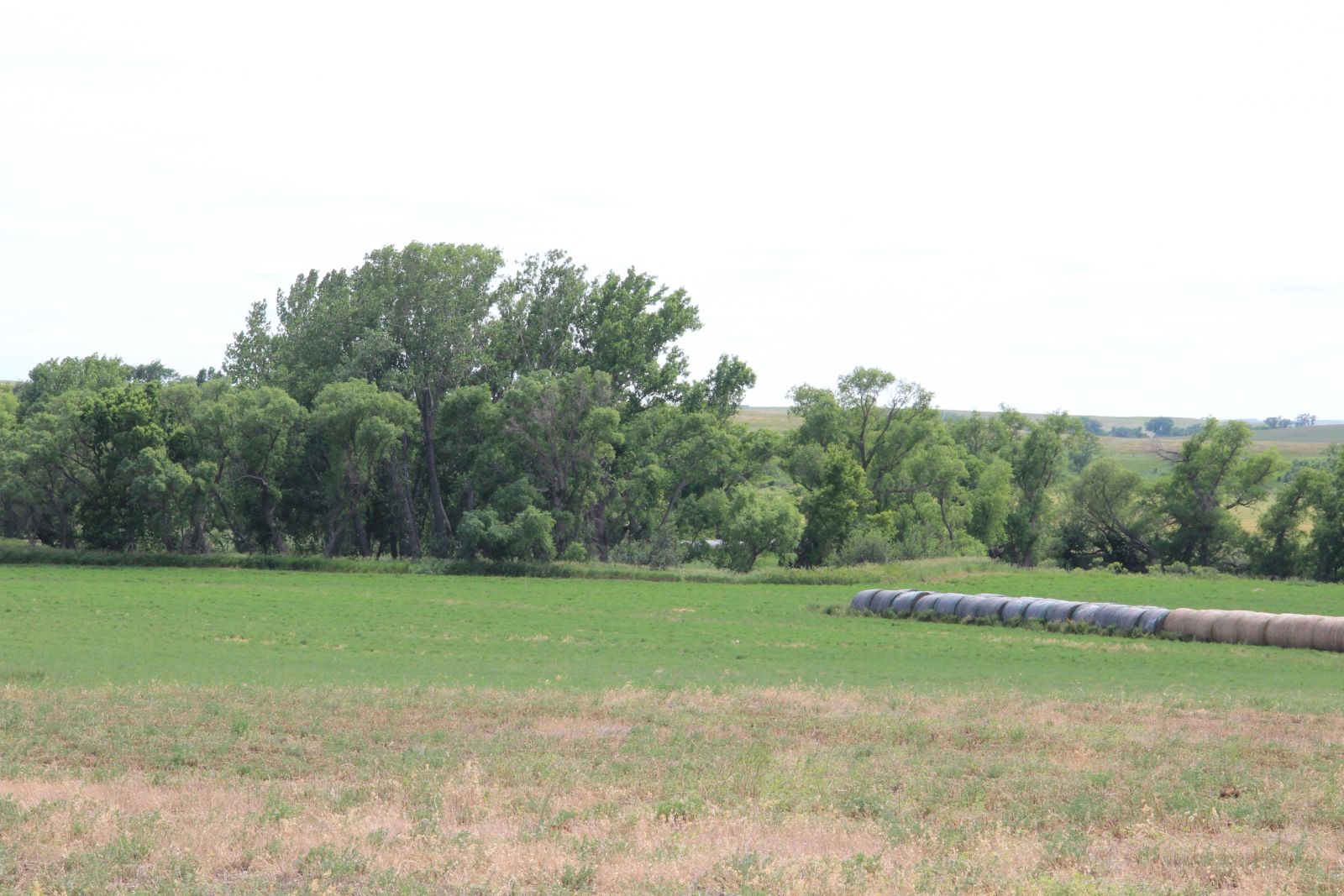 320 +/- Acres — Black Twp, Tripp County, SD — Land Auction in Winner, SD thumbnail 14