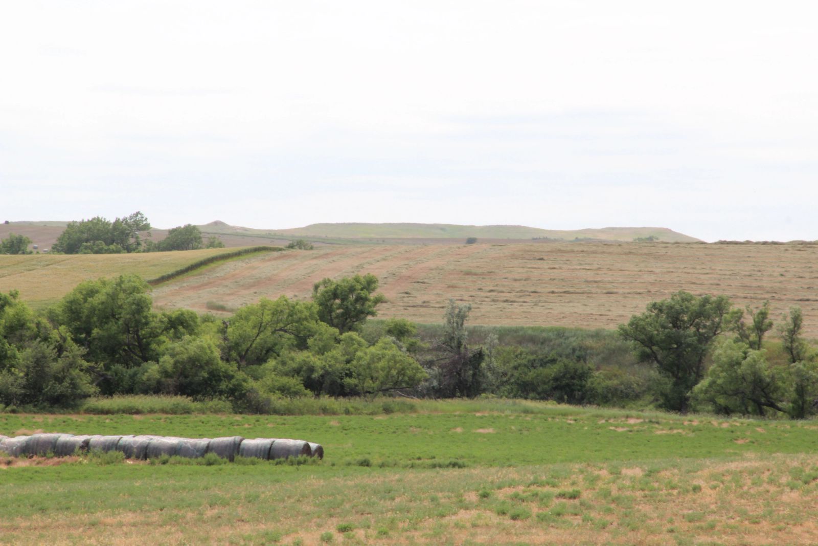 320 +/- Acres — Black Twp, Tripp County, SD — Land Auction in Winner, SD thumbnail 11