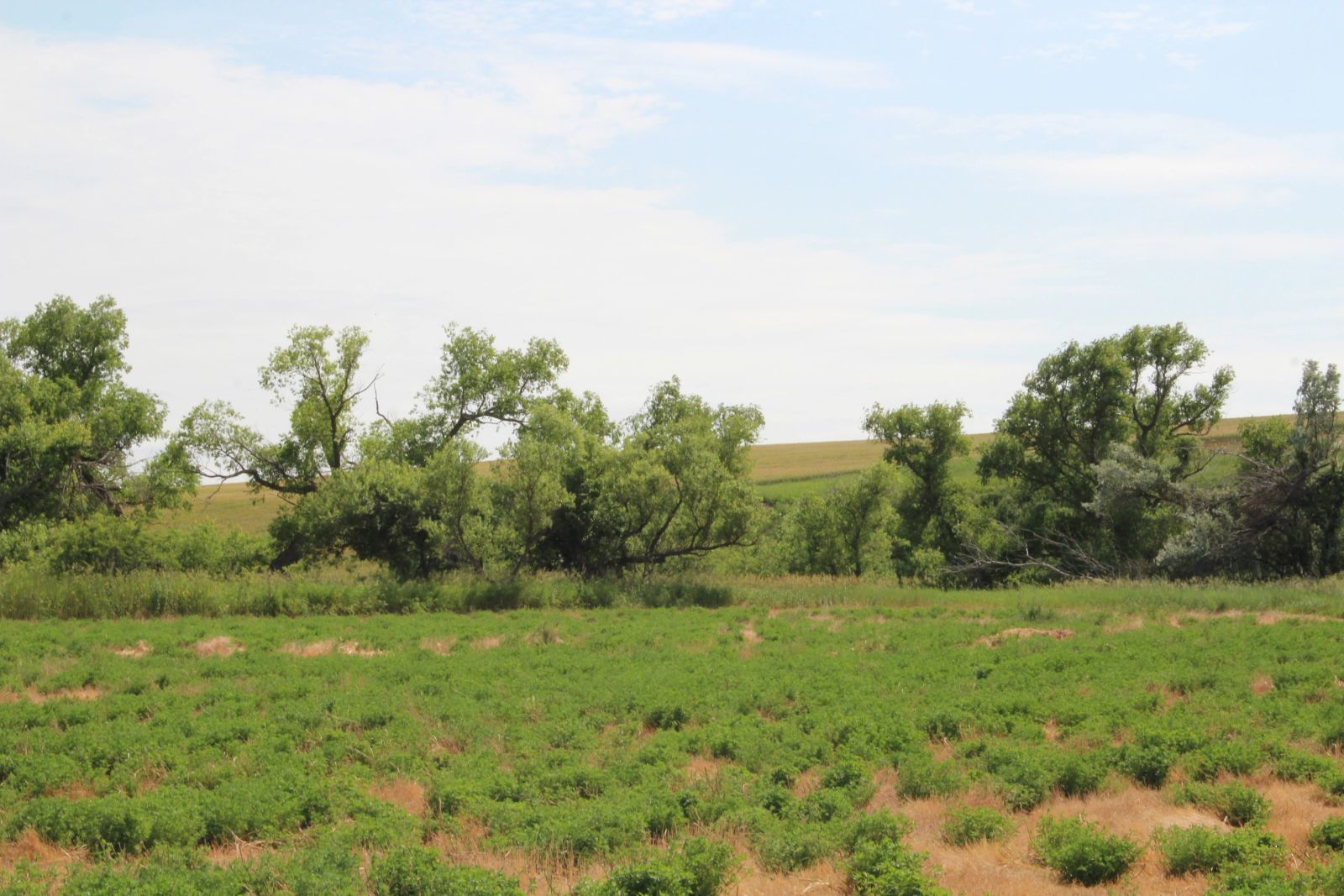 320 +/- Acres — Black Twp, Tripp County, SD — Land Auction in Winner, SD thumbnail 15