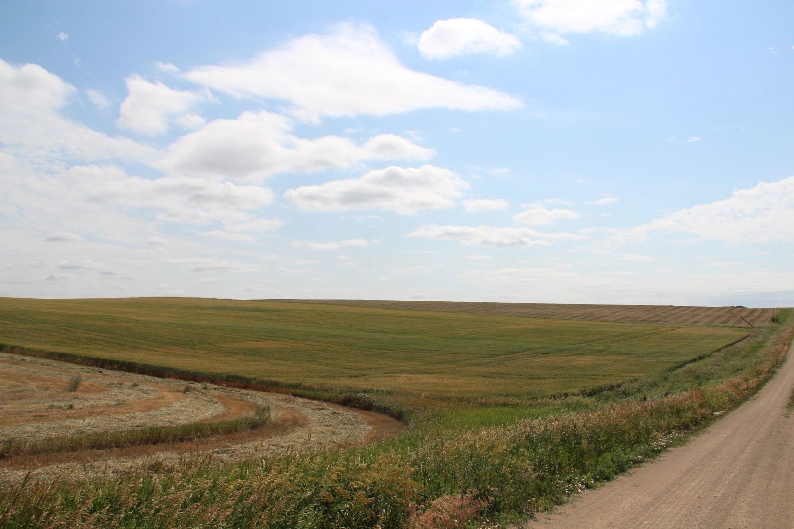 320 +/- Acres — Black Twp, Tripp County, SD — Land Auction in Winner, SD thumbnail 13