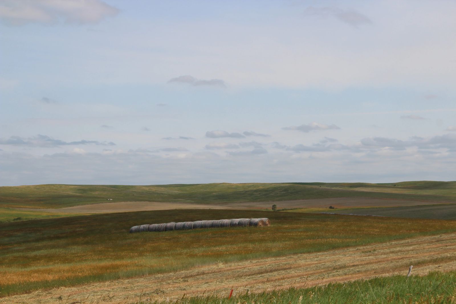 320 +/- Acres — Black Twp, Tripp County, SD — Land Auction in Winner, SD thumbnail 12