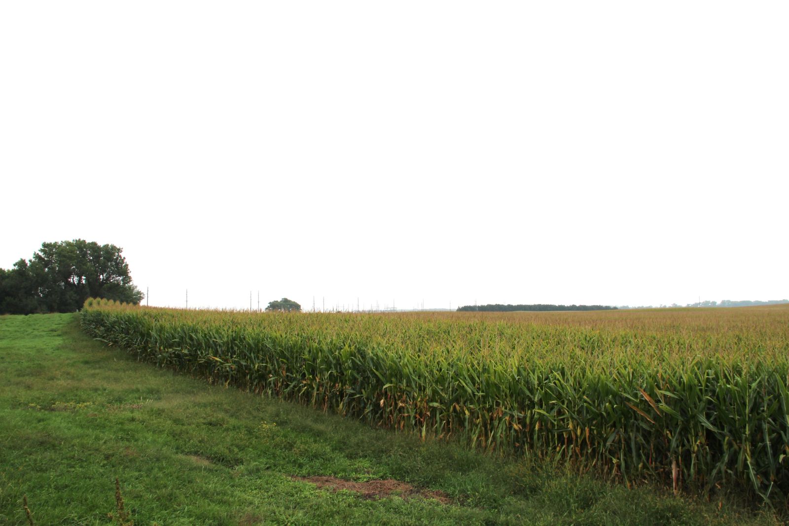 153 +/- Acres Irrigated Crop Land, Rock County, NE — Bassett, NE real estate photo thumbnail 13
