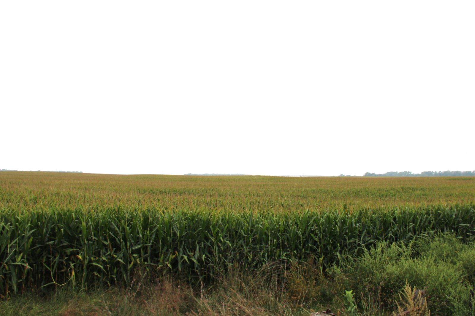 153 +/- Acres Irrigated Crop Land, Rock County, NE — Bassett, NE real estate photo thumbnail 11
