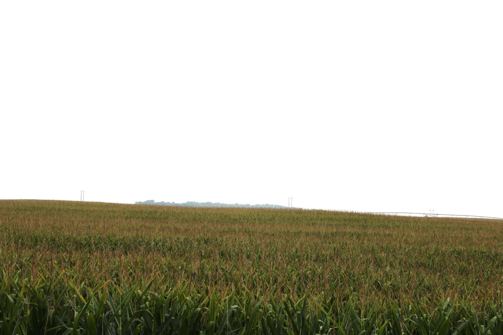 153 +/- Acres Irrigated Crop Land, Rock County, NE — Bassett, NE real estate photo thumbnail 12