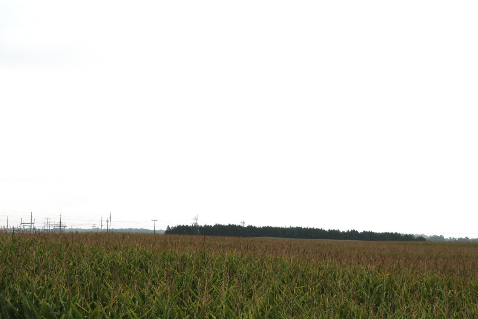 153 +/- Acres Irrigated Crop Land, Rock County, NE — Bassett, NE real estate photo thumbnail 9