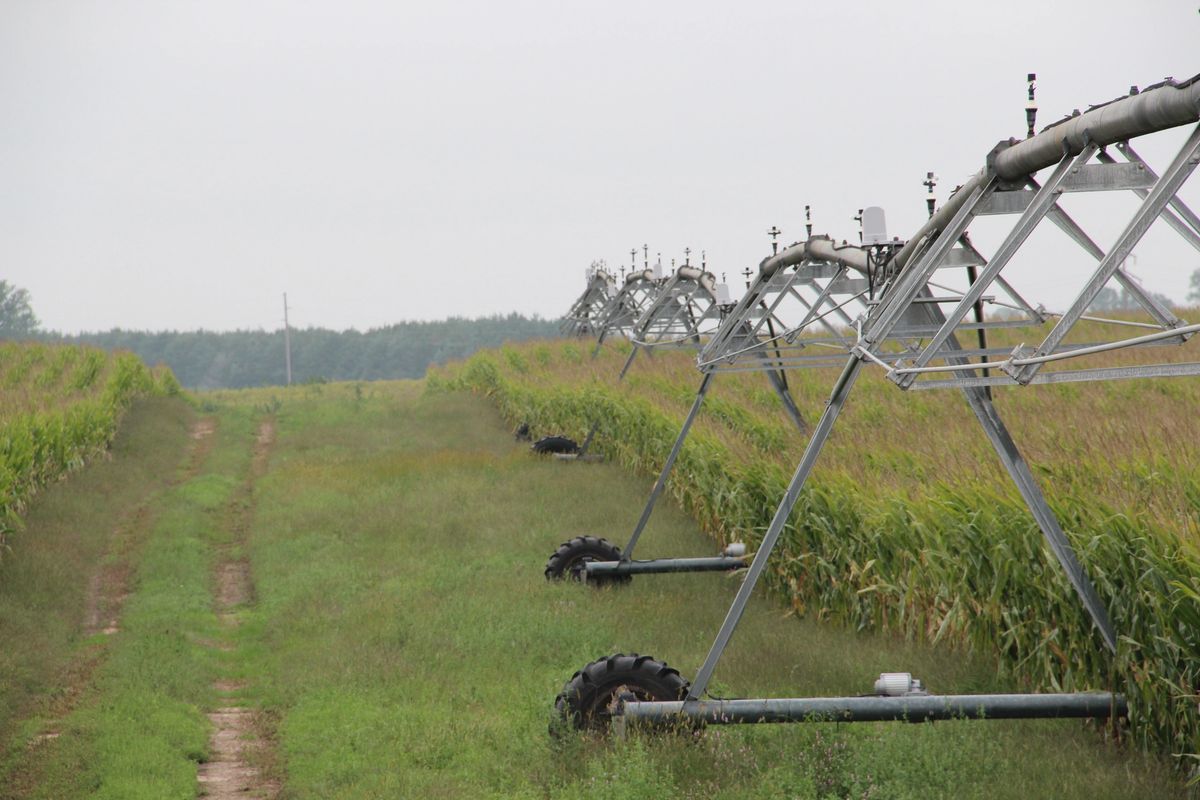 153 +/- Acres Irrigated Crop Land, Rock County, NE