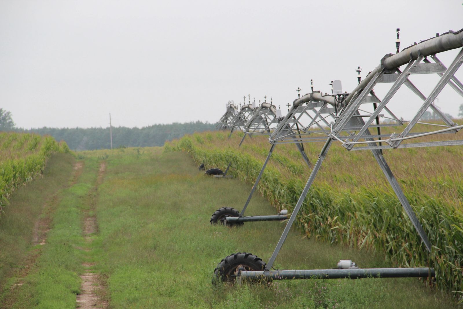 153 +/- Acres Irrigated Crop Land, Rock County, NE — Bassett, NE real estate photo thumbnail 7