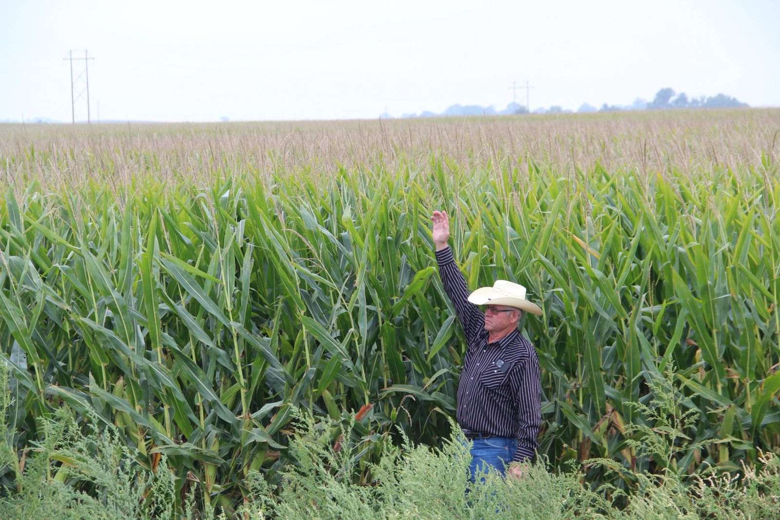153 +/- Acres Irrigated Crop Land, Rock County, NE — Bassett, NE real estate photo thumbnail 10