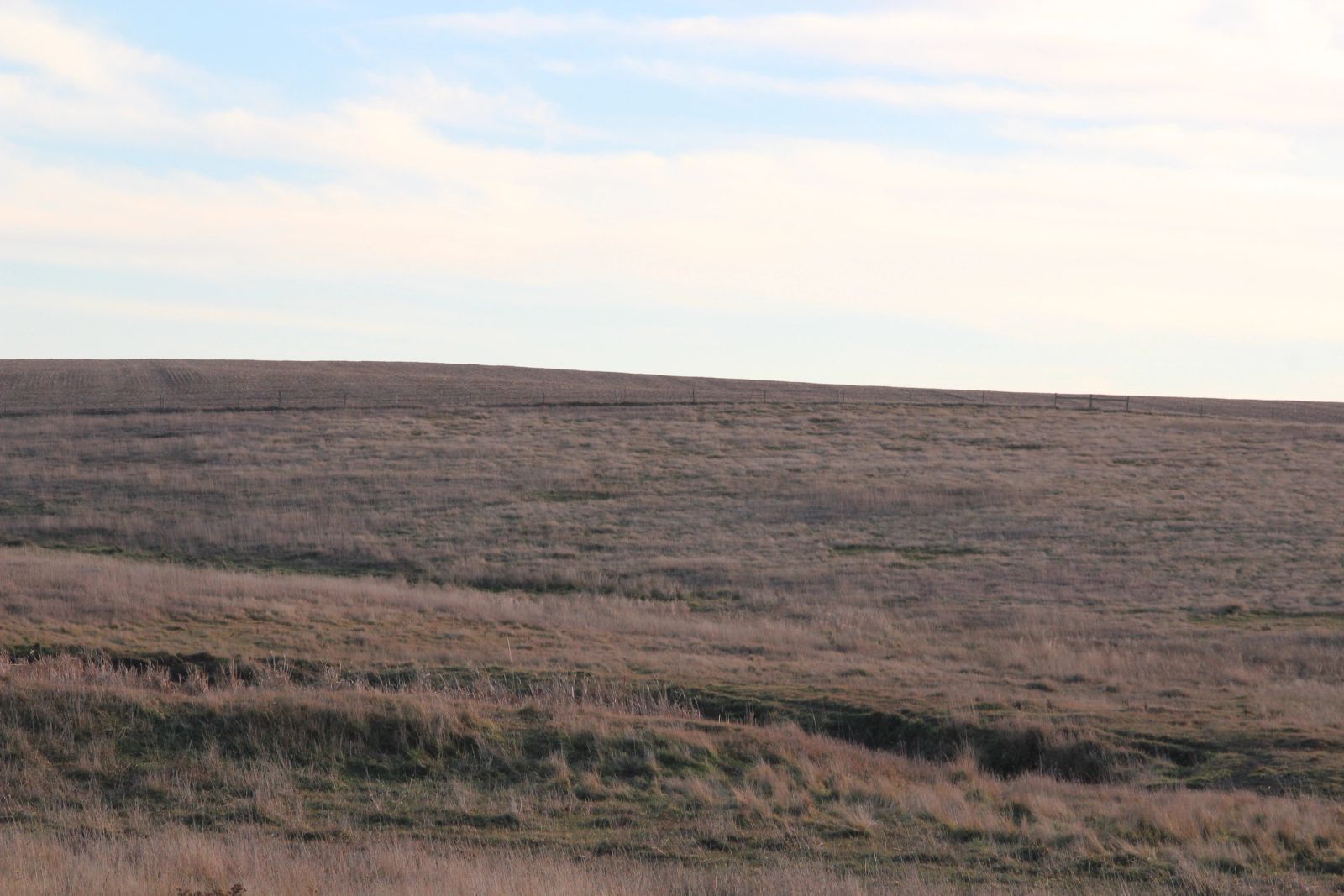 280 +/- Acres Pasture/Crop Land, Plainview Twp, Tripp Co, SD — Winner, SD real estate photo thumbnail 22