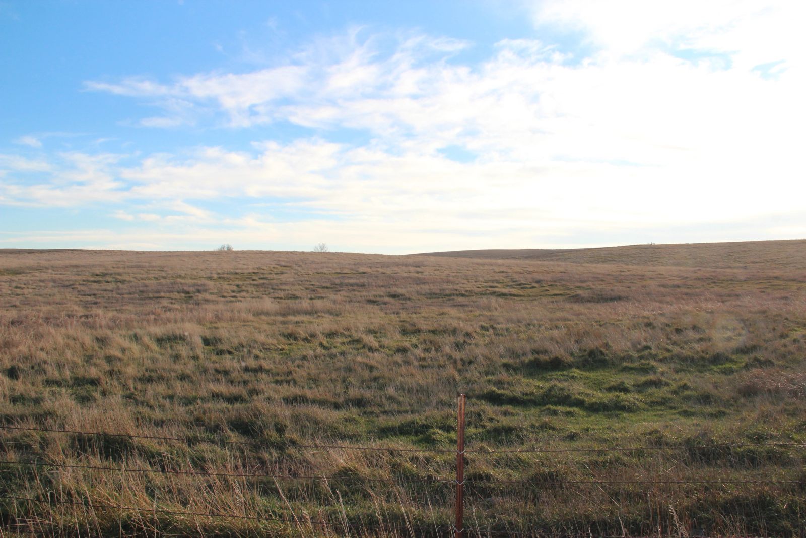 280 +/- Acres Pasture/Crop Land, Plainview Twp, Tripp Co, SD — Winner, SD real estate photo thumbnail 23