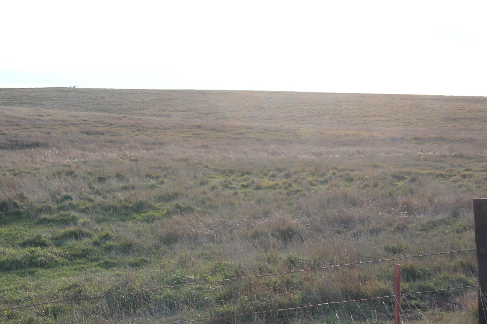 280 +/- Acres Pasture/Crop Land, Plainview Twp, Tripp Co, SD — Winner, SD real estate photo thumbnail 24