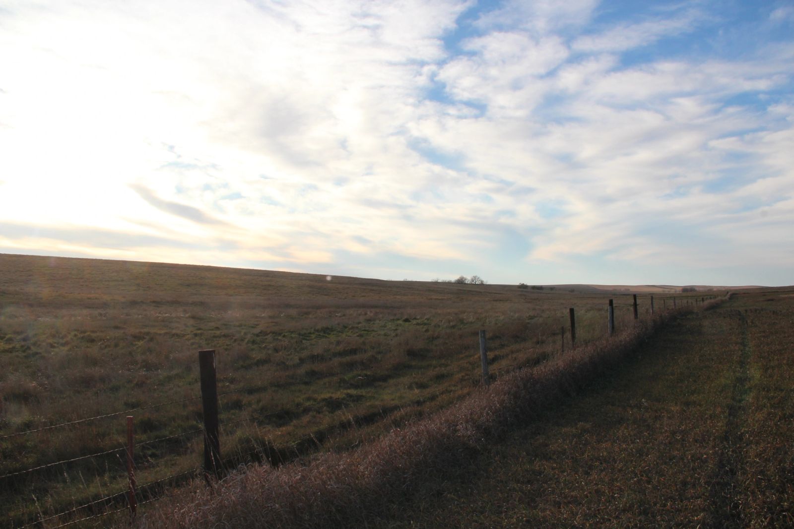 280 +/- Acres Pasture/Crop Land, Plainview Twp, Tripp Co, SD — Winner, SD real estate photo thumbnail 19