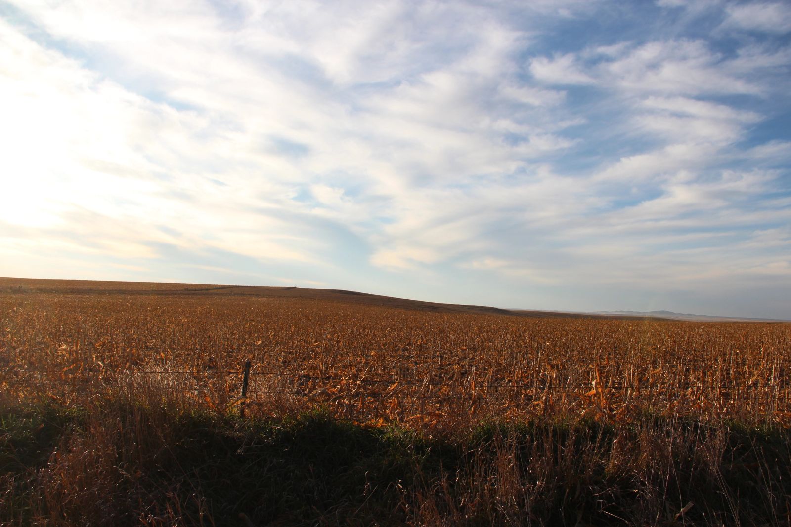 280 +/- Acres Pasture/Crop Land, Plainview Twp, Tripp Co, SD — Winner, SD real estate photo thumbnail 8