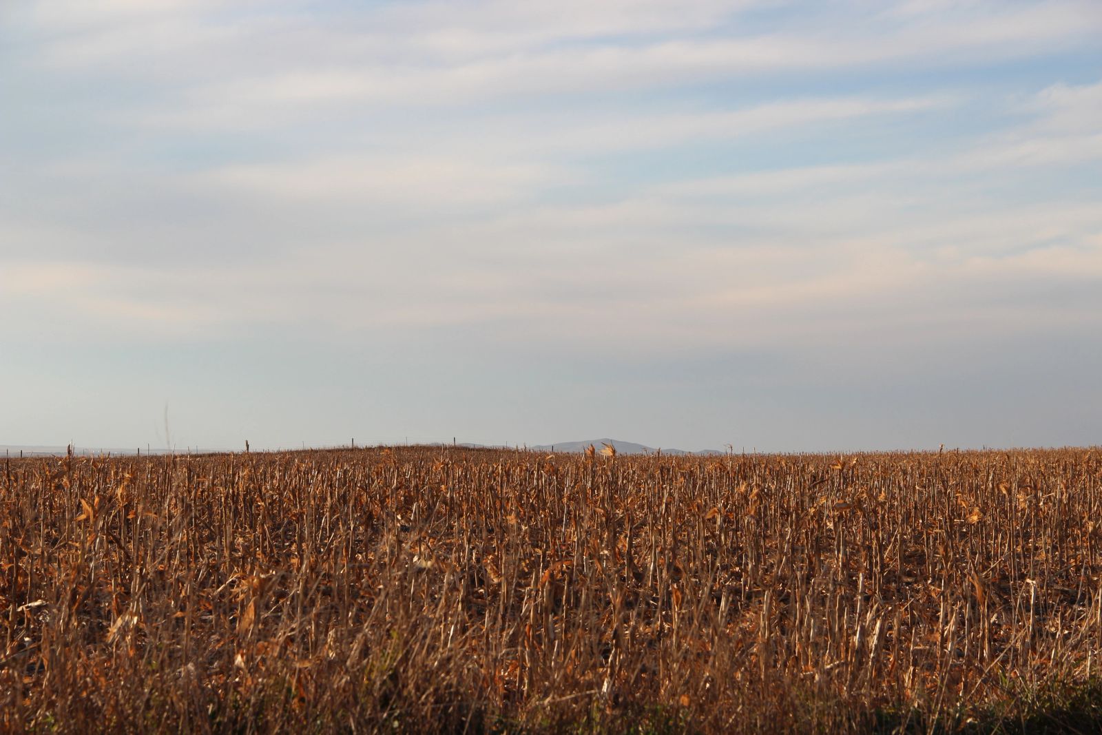 280 +/- Acres Pasture/Crop Land, Plainview Twp, Tripp Co, SD — Winner, SD real estate photo thumbnail 10