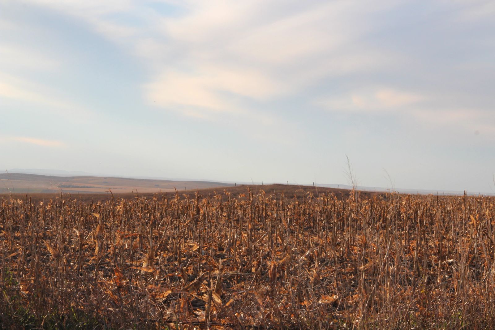 280 +/- Acres Pasture/Crop Land, Plainview Twp, Tripp Co, SD — Winner, SD real estate photo thumbnail 11