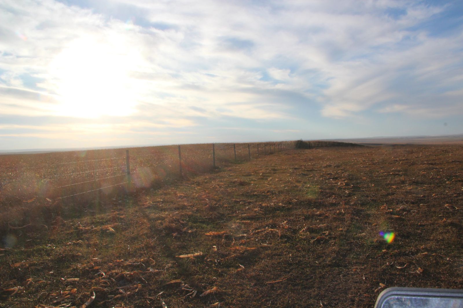 280 +/- Acres Pasture/Crop Land, Plainview Twp, Tripp Co, SD — Winner, SD real estate photo thumbnail 6
