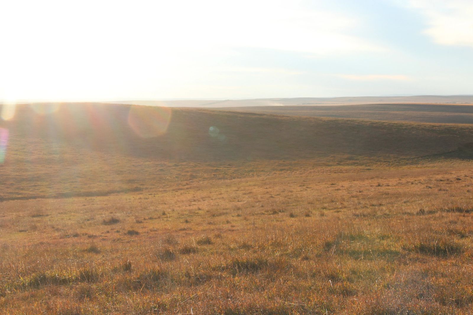 280 +/- Acres Pasture/Crop Land, Plainview Twp, Tripp Co, SD — Winner, SD real estate photo thumbnail 13
