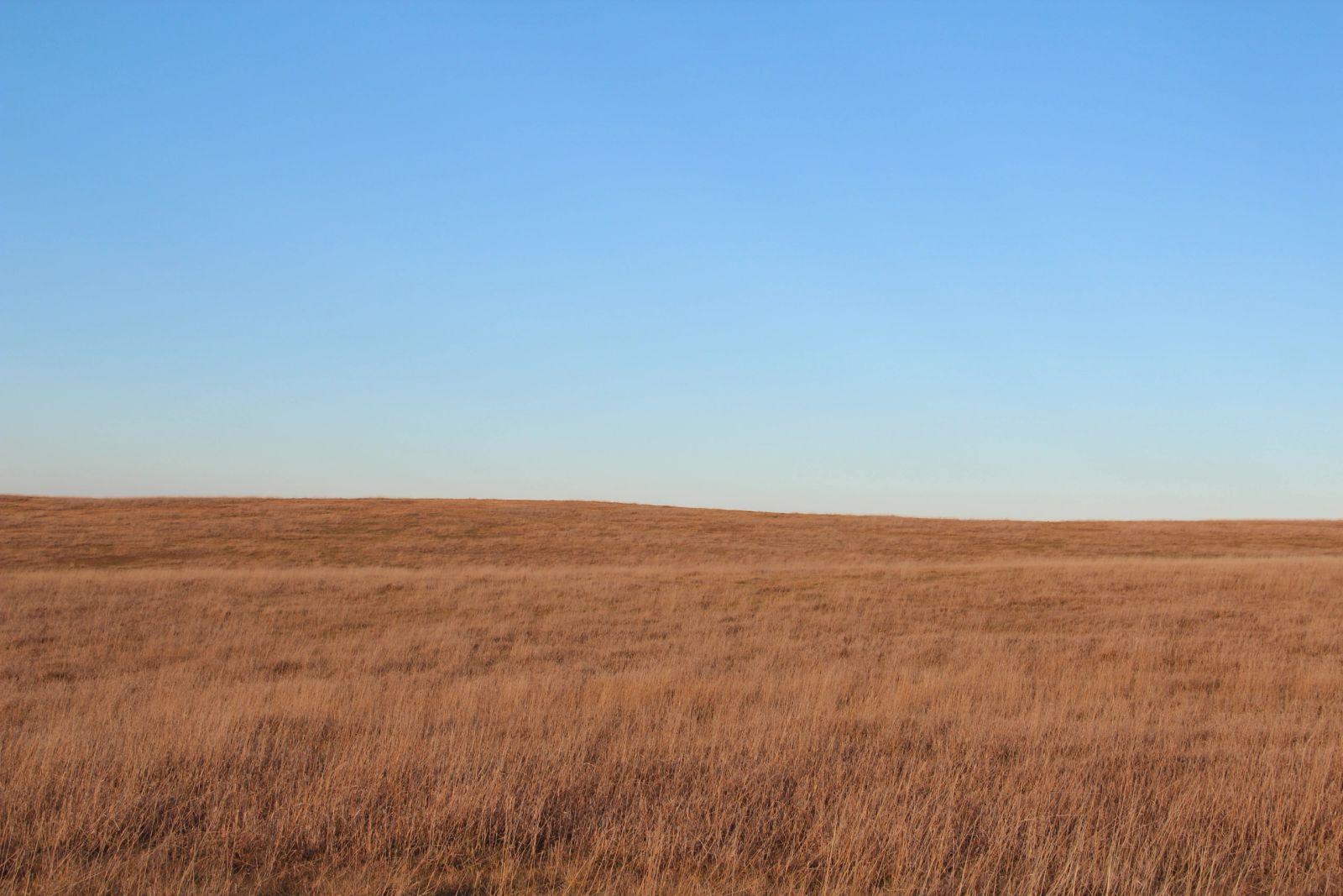 280 +/- Acres Pasture/Crop Land, Plainview Twp, Tripp Co, SD — Winner, SD real estate photo thumbnail 7