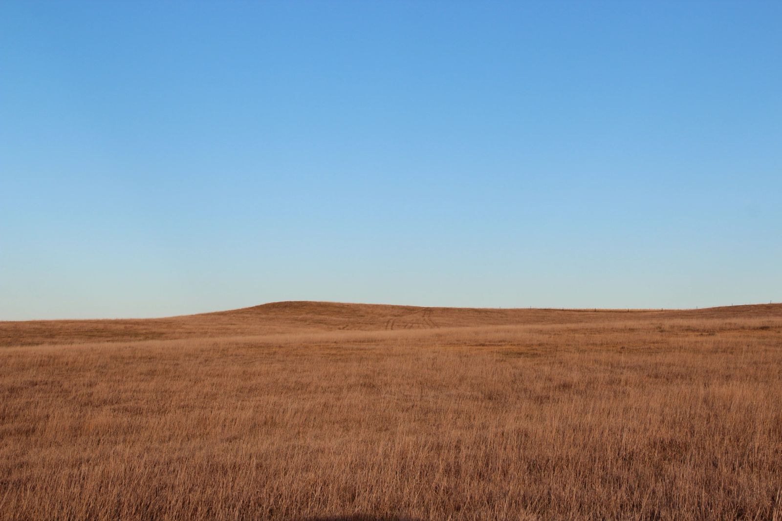 280 +/- Acres Pasture/Crop Land, Plainview Twp, Tripp Co, SD — Winner, SD real estate photo thumbnail 12