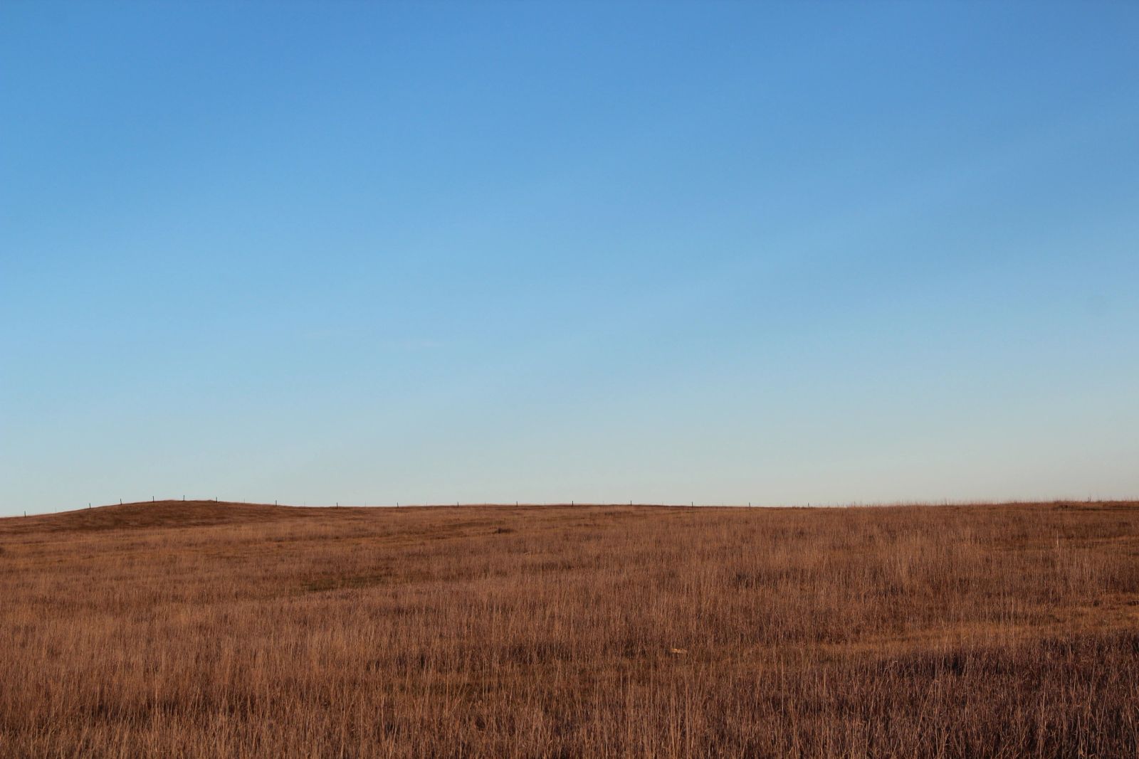 280 +/- Acres Pasture/Crop Land, Plainview Twp, Tripp Co, SD — Winner, SD real estate photo thumbnail 9
