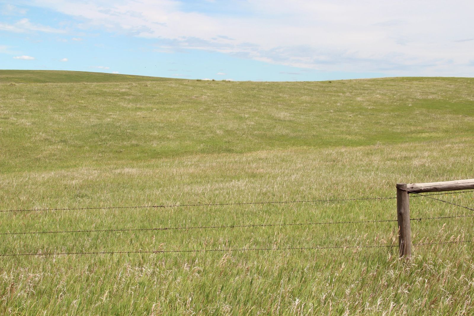 160 +/- Acres Pasture/Hay Land, Lone Star Twp, Tripp Co, SD — Hamill, SD real estate photo thumbnail 10