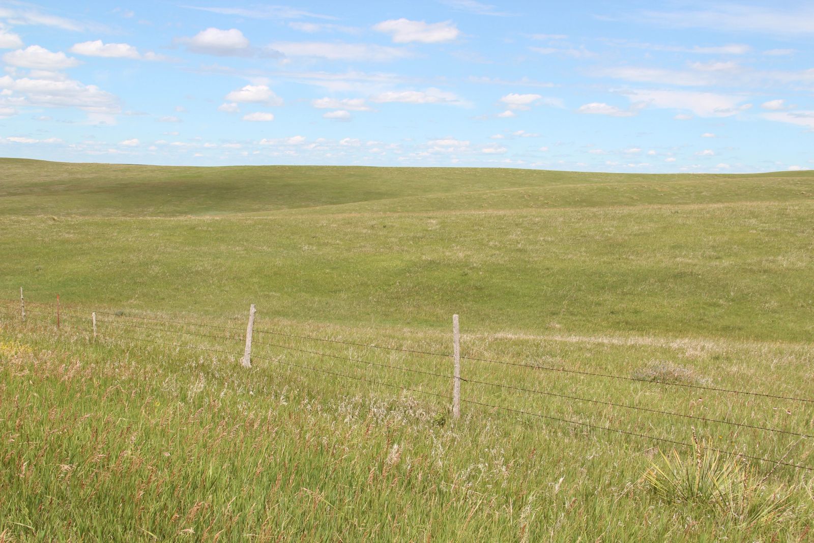 160 +/- Acres Pasture/Hay Land, Lone Star Twp, Tripp Co, SD — Hamill, SD real estate photo thumbnail 14