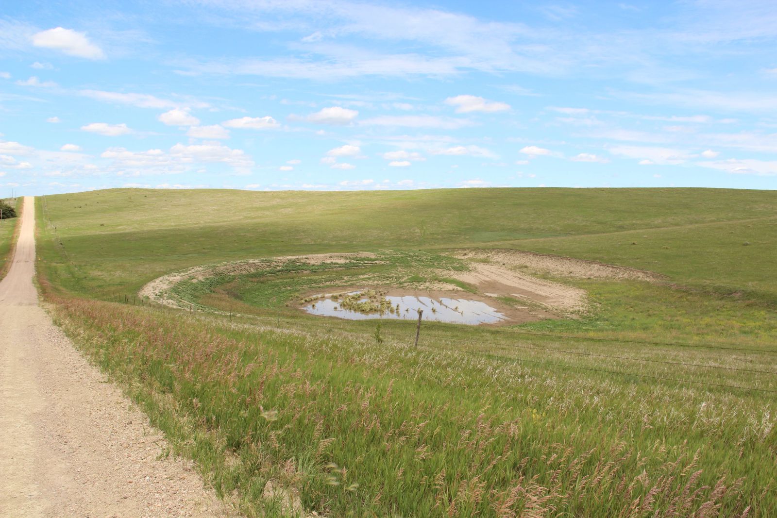 160 +/- Acres Pasture/Hay Land, Lone Star Twp, Tripp Co, SD — Hamill, SD real estate photo thumbnail 12