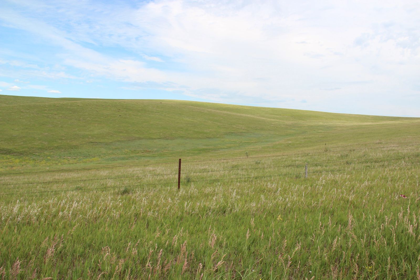 160 +/- Acres Pasture/Hay Land, Lone Star Twp, Tripp Co, SD — Hamill, SD real estate photo thumbnail 7