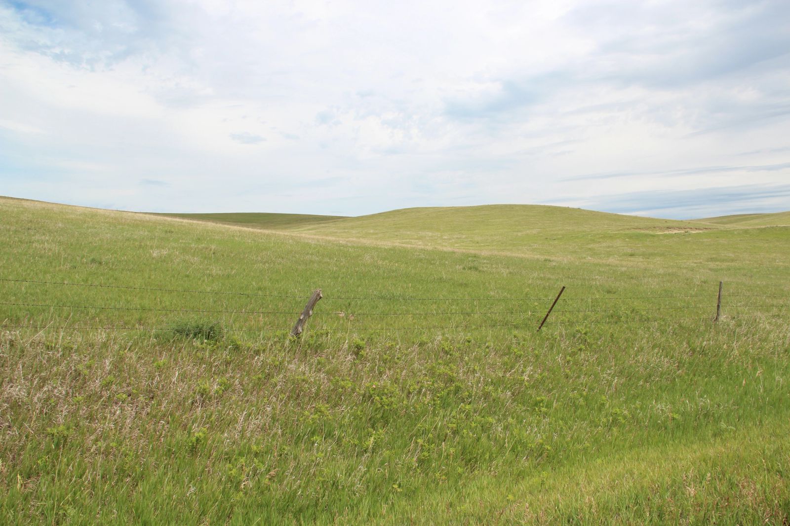 160 +/- Acres Pasture/Hay Land, Lone Star Twp, Tripp Co, SD — Hamill, SD real estate photo thumbnail 5