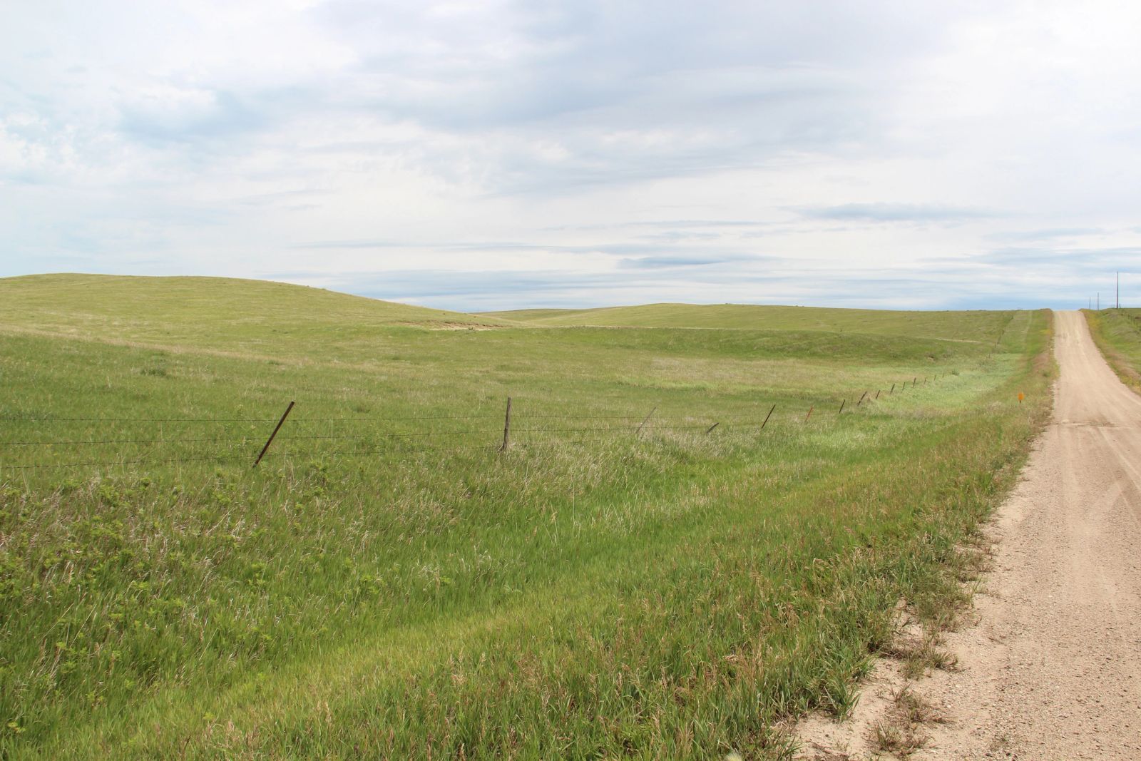 160 +/- Acres Pasture/Hay Land, Lone Star Twp, Tripp Co, SD — Hamill, SD real estate photo thumbnail 6