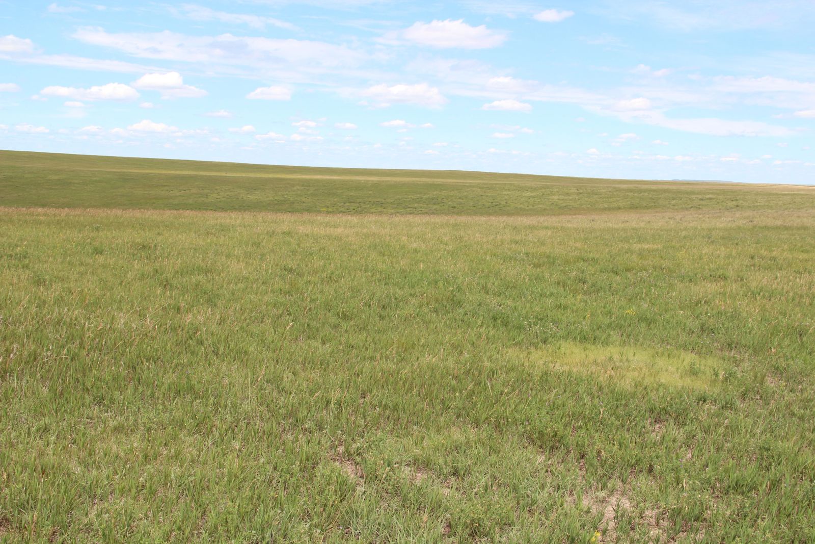 160 +/- Acres Pasture/Hay Land, Lone Star Twp, Tripp Co, SD — Hamill, SD real estate photo thumbnail 2
