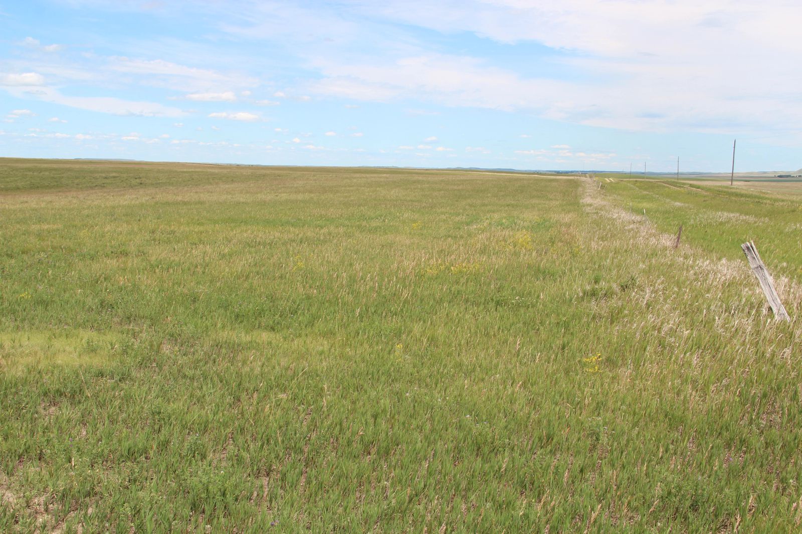 160 +/- Acres Pasture/Hay Land, Lone Star Twp, Tripp Co, SD — Hamill, SD real estate photo thumbnail 8