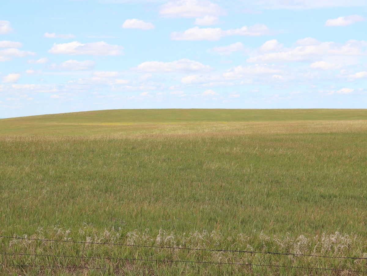 160 +/- Acres Pasture/Hay Land, Lone Star Twp, Tripp Co, SD